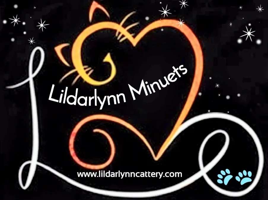 Lildarlynns Cattery